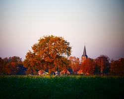 foto bij artikel